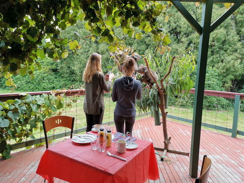The Aussie Stop Offering Breakfast With Koalas - Accommodation Mt Buller 2