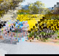 The Heron's Highway - Avon River Cycle Trail - Accommodation Mt Buller