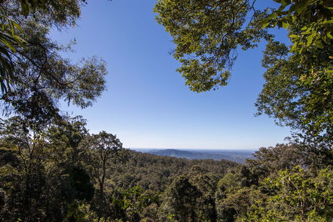 Thylogale Track - Accommodation Mt Buller 2