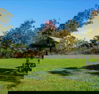 Tunks Hill picnic area - Accommodation Mt Buller