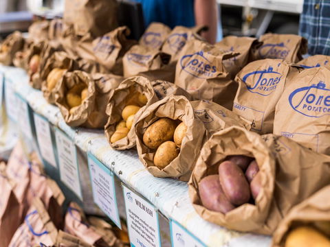 Warragul Farmers Market - Accommodation Mt Buller 2