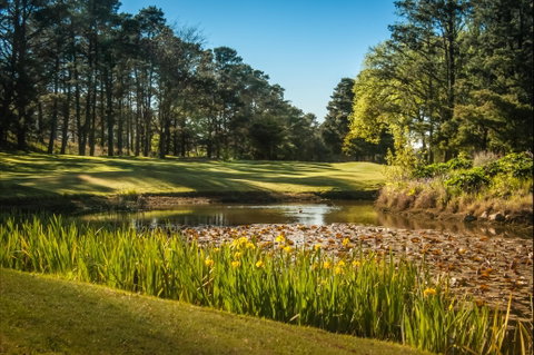 Yowani Country Club Incorporated - Accommodation Mt buller 2