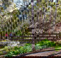 Armadale - Accommodation Mt Buller