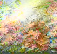 Barossa Chateau Artist in Residence - Accommodation Mt Buller