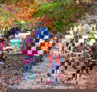 Beechworth to Everton Station 16km - Accommodation Mt Buller