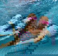 Blacktown Aquatic Centre - Accommodation Mt Buller