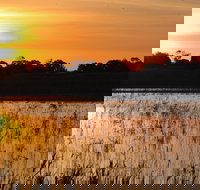 Bool Lagoon Game Reserve and Hacks Lagoon Conservation Park - Accommodation Mt Buller