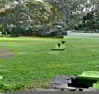 Cottonwood Glen Picnic Area - Accommodation Mt Buller