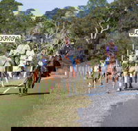 Dayboro - Accommodation Mt Buller