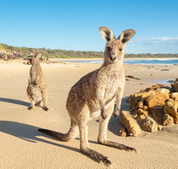 Diamond Head Beach - Accommodation Mt Buller