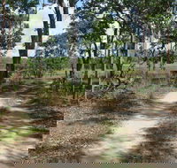 Djukbinj National Park - Accommodation Mt Buller