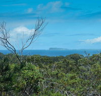 Forest Walking Track Crowdy Bay National Park - Accommodation Mt Buller