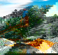 Gayndah's Big Orange - Accommodation Mt Buller