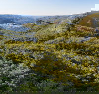 Gold Coast Hinterland Great Walk - Accommodation Mt Buller