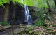 Gold Coast Hinterland Great Walk - thumb 1