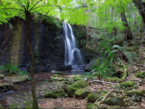 Gold Coast Hinterland Great Walk - Accommodation Mt Buller 1