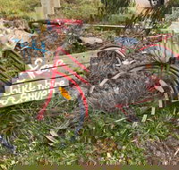 Grong Grong - Accommodation Mt Buller