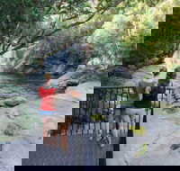 Josephine Falls walking track Wooroonooran National Park - Accommodation Mt Buller