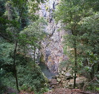 Kondalilla Falls Circuit Kondalilla National Park - Accommodation Mt Buller
