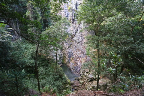 Kondalilla Falls Circuit, Kondalilla National Park - Accommodation Mt Buller 0