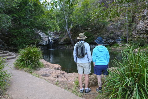 Kondalilla Falls Circuit, Kondalilla National Park - Accommodation Mt Buller 1