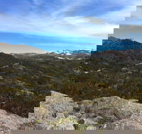 Kosciuszko National Park Charlottes Pass to Snowy River - Accommodation Mt Buller