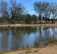Lake King Wetlands at Rutherglen - Accommodation Mt Buller
