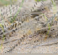 Manning Entrance State Park - Accommodation Mt Buller