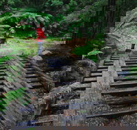 Montezuma Falls - Accommodation Mt Buller