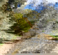 Naracoorte North Nature Park - Accommodation Mt Buller