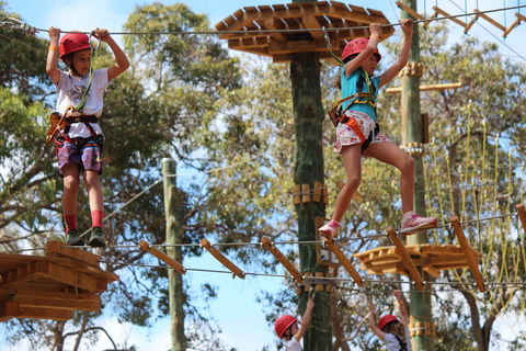 Next Level Monkey Business - Accommodation Mt Buller 0