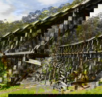 Noojee Trestle Bridge - Accommodation Mt Buller