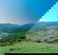 Numinbah Section Springbrook National Park - Accommodation Mt Buller