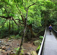 Rainforest Loop Walk Budderoo National Park - Accommodation Mt Buller