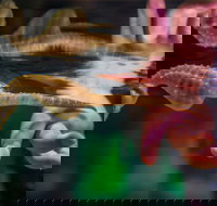 Seahorse World - Accommodation Mt Buller