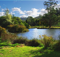 Tasmanian Arboretum Inc. - The - Accommodation Mt Buller