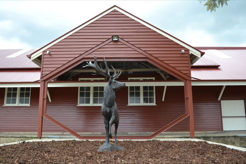 The Somerset Regional Art Gallery - The Condensery - Accommodation Mt Buller 1