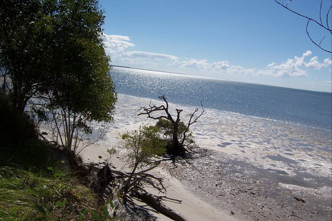 Tinnanbar - Accommodation Mt Buller 1