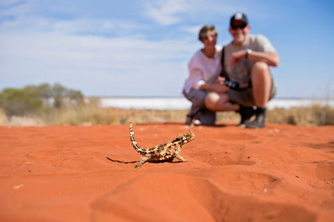 Tnorala (Gosse Bluff) Conservation Reserve - Accommodation Mt Buller 2
