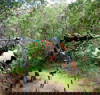 TreeTop Challenge - Accommodation Mt Buller