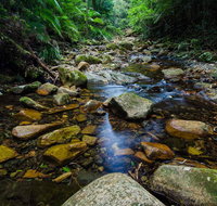 Willi Willi National Park - Accommodation Mt Buller