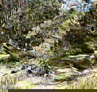 Wollomombi Walking Track - Accommodation Mt Buller