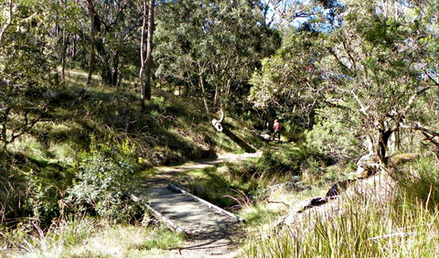Wollomombi Walking Track - Accommodation Mt Buller 0