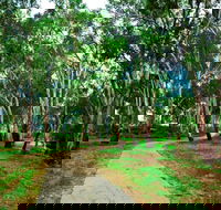 Adungadoo Pathway - Accommodation Mt Buller