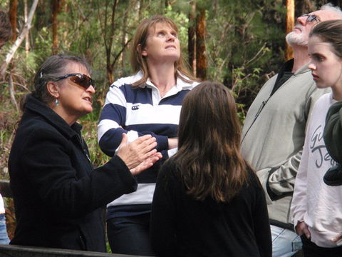 Ancient Empire Walk, Valley Of The Giants - Accommodation Mt Buller 1