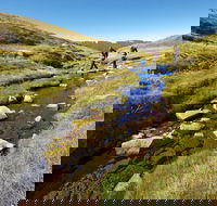 Australian Alps Walking Track - Accommodation Mt Buller