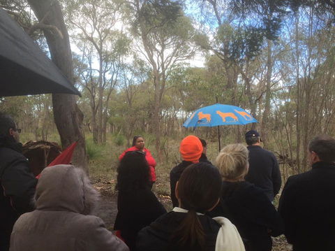 Bindjareb Cultural Park - Accommodation Mt Buller 2