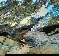 Burrawang Reach Picnic Area