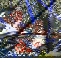 City Park - Accommodation Mt Buller