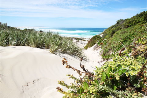 Coffin Bay National Park - Accommodation Mt Buller 1